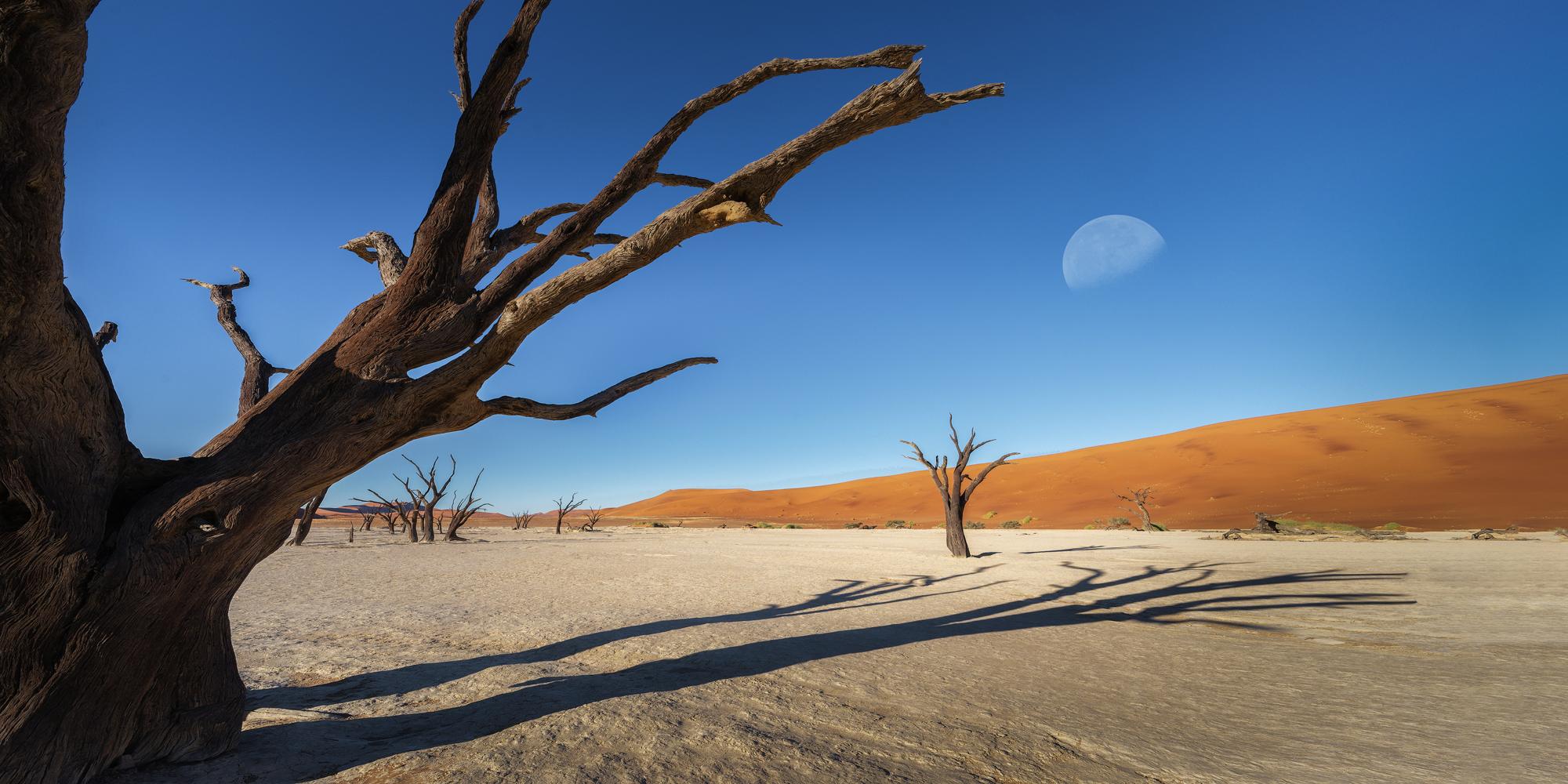 Deadvlei, Namib-Naukluft, Namibia